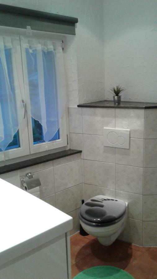 Casa Rustica Apartment Gambarogno Екстериор снимка